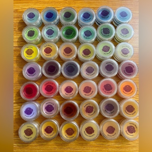 Scentsy Accents New Scentsy Testerssamples 42 Pack Poshmark